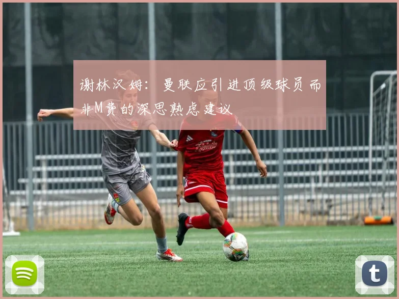 谢林汉姆：曼联应引进顶级球员而非M费的深思熟虑建议